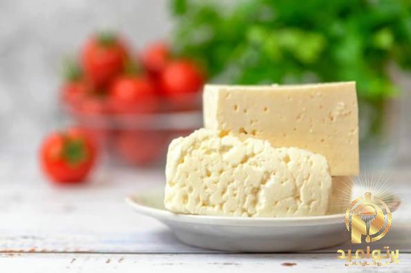 پنیر ثعلب خرید جدیدترین انواع پنیر ثعلب با قیمت مناسب